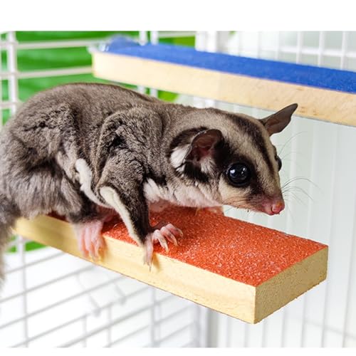 Sugar Glider Toys Cage Steps - Small Animal Climbing Steps Sharpening Claws Sugar Glider Enrichment Toys Scratching Snadpaper for Cages (Blue+ Orange) - color: Blue+ Orange