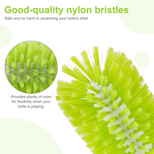 2pcs Turtle Brush, Turtle Shell Brush with Suction Cup Turtle Shell Scratcher Tortoise Shell Cleaning Brushes Turtle Exfoliate Brush Turtle Scrub Brush Aquatic Tortoise Tank Supplies