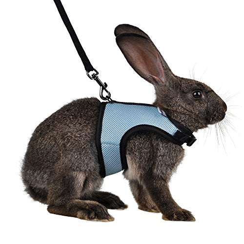 Niteangel Adjustable Soft Harness with Elastic Leash for Rabbits (M, Blue) - color: Blue, size: M