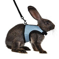 Niteangel Adjustable Soft Harness with Elastic Leash for Rabbits (M, Blue) - color: Blue, size: M