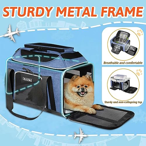 Top-Expandable Small Pet Carrier 17"x11"x9.5" Airline Approved | for Alaska Airlines, Lockable Safety Zippers and Anti-Scratch Mesh, Soft-Sided, Pets Under 10 Lbs, Blue - color: Blue, size: 17.0"L x 11.0"W x 9.5"H