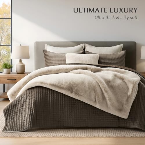 EVERGRACEHOME Faux Chinchilla Fur Throw Blanket, 50"x60", Birch Mink | Luxury, Super Soft, 1220GSM, Fluffy Cozy Mink, Reversible Velvet Back, Warm Thick Heavy Winter Throw for Couch Bed, Gift - color: Birch Mink, size: 50"x60"