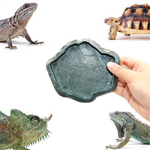 SLSON Small Reptile Feeder Terraium Bowl Plastic Shallow Reptile Feeder for Food and Water Feeding Dish for Lizard Gecko Junior Bearded Dragon,Small Green