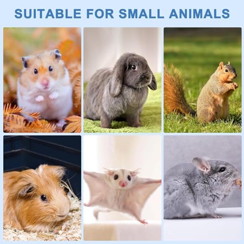 2 Pcs Dog Rocks, Hamster Chew Toys, Pet Teeth Grinding Stone, Small Animal Pet Lava Bites Chews Toy Teeth Grinding Block Mineral Calcium Stone for Hamsters Parrot Chinchillas Rabbits