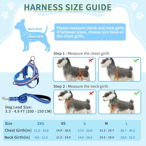SlowTon No Pull Small Dog Harness and Leash Set with Front Clip | Soft Padded, Neck & Chest Adjustable, Lightweight, Anti-Twist, Puppy Vest Harness Pet Lead Combo for Small Medium Dog, DBL S - color: Dark Blue, size: Small