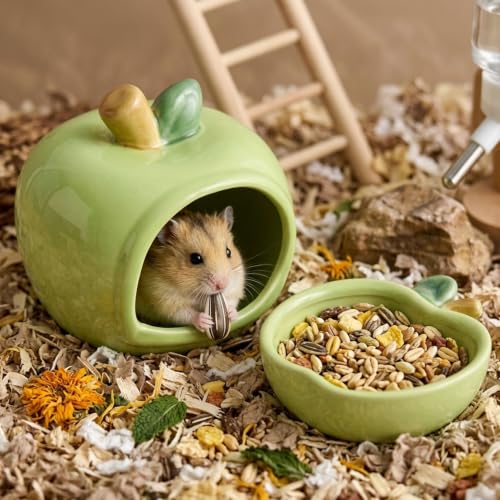 Ceramic Hamster Hideout & Food Bowl Set, Green | Apple-Shaped, Chew-Proof Sleeping Cave, Cooling Shelter Function, 2.9-inch Entrance, For Syrian Dwarf Hamsters, Mice - color: Green