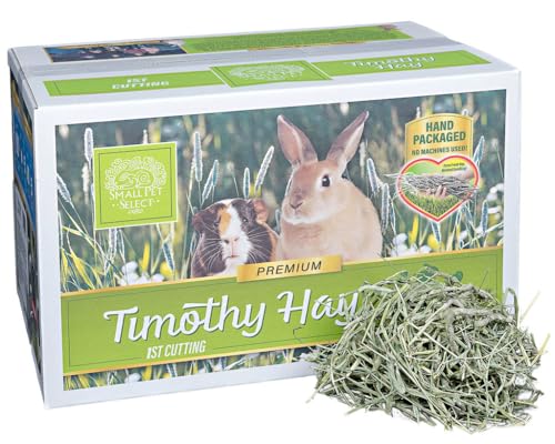 Small Pet Select 1st Cutting Timothy Hay for Rabbits & Guinea Pigs, 20 lb | High Fiber Natural Hay, Grown in USA, Long Coarse Strands for Dental Wear, For Chinchillas, Hamsters, Bunnies & Small Pets - size: 20 Pound (Pack of 1)