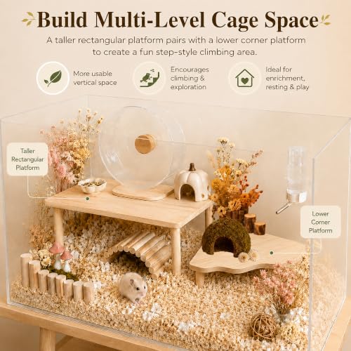 Large Hamster Platform Set Wooden Hamster Cage Accessories 2PCS | large size hamster cage platform natural wood hamster hide hamster accessories for Dwarf Syrian Hamsters Gerbils Mice Degus - color: 2PCS