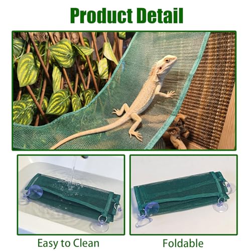 2 Pack Bearded Dragon Hammock,Breathable Mesh Collapsible Reptile Hammock Lounger Climbing Tank Accessories for Lizard Gecko Snakes Axolotls Chameleon (Green) - color: Green