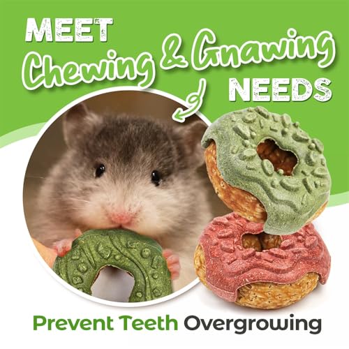 TEEWY Donut Guinea Pig Toys, Natural Vegetables, Fruits and Timothy, Hamster Chew Toys for Teeth, Gerbil Toys, Small Animal Chew Toys for Guinea Pig, Hamster, Chinchilla and Rat, 2PCS - style: 2PCS-Donut
