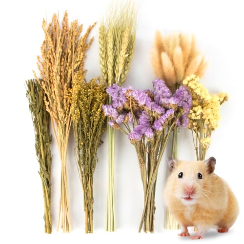 Sukh 60PCS Hamster Sprays - Natural Flower Herb Bedding & Habitat Decor | Natural Grain and Herb Sprays for Syrian & Dwarf Hamsters, Gerbils, Rabbits and Small Pets, for Foraging and Cage Enrichment