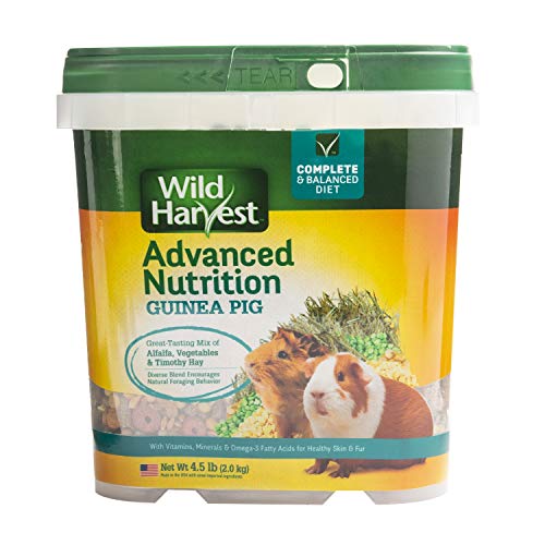 Wild Harvest Advanced Nutrition Guinea Pig, Complete And Balanced Diet, 4.5 Pounds - size: 4.5 Pound (Pack of 1)