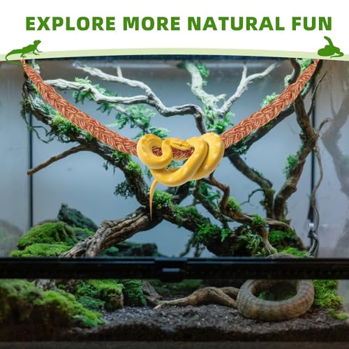 Snake Climbing Rope,Snakes Ladders Toys, Reptile Tank Accessories (Orange) | Snake Enrichment Supplies, Reptile Climbing Toys for Small Reptile, Ball Python, Corn, Hermit, Crab, Lizards, Geckos - color: Orange
