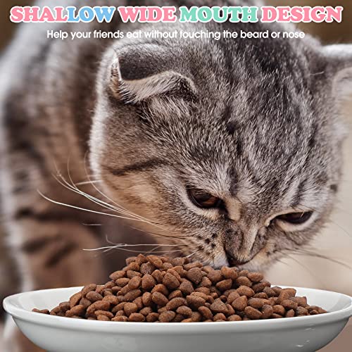 Irenare 10 Pcs Ceramic Cat Bowl 6 Inch Anti Whisker Fatigue Cat Plates Set Cute Shallow Pet Food Bowl Dishes for Food and Water, Kittens Small Animals(Simple Pattern)