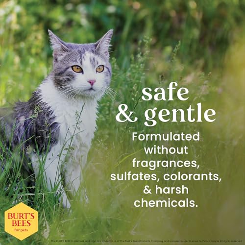 Burts Bees for Pets Waterless Cat Shampoo Spray, 10 Fl Oz | No-rinse formula with shea butter and honey gently cleans between baths, pH-balanced, no harsh detergents