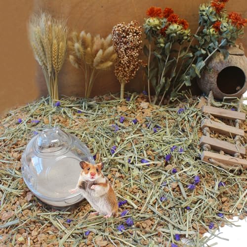 Hamster Bath Sand, 7.7lb Dust Free Desert Sand or Potty Litter Sand for Hamster Chinchillas Gerbil Syrian Mice Small Animals(Beige) - color: Beige, size: 7.7lb