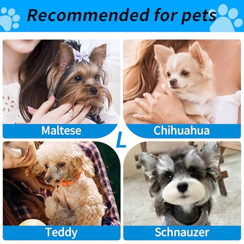 Wakytu Expandable Pet Carrier for Dogs & Cats, Large Travel Bag with 5 Mesh Windows, 2 Entrances, Locking Zippers & Padded Straps,L