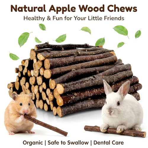 Sukh Natural Organic Apple Sticks - 250g Chew Sticks for Small Animals | Chew Toys for Hamsters, Rabbits, Guinea Pigs, Gerbils, Chinchillas & Squirrels, Teeth Grinding Supplies, Cage Accessories - size: 250g