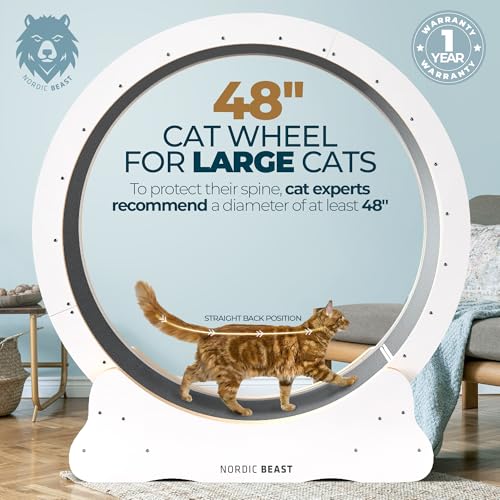 White 48'' XL Cat Wheel - Cat Wheels for Indoor Cats Which Doesn't Negatively Affect Your Cat's Spine - 15.7'' Extra Wide White Exercise Wheel - Fits 2 Cats Side-by-Side, 1-Year Warranty - color: White