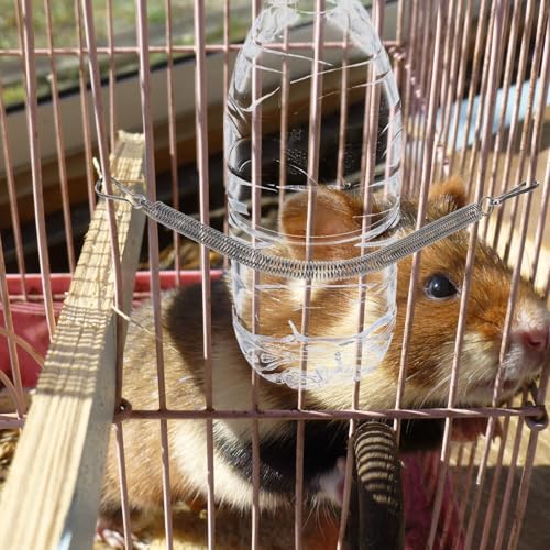 10 Pcs Extension Spring with 2 Clips for Rabbit Water Bottles Metal Wire Cage Accessories for Small Animal Water Bottles, Rabbit/Hamster/Guinea Pig Dispenser Holder, Drinking Supplies (3.1 inch/8 cm)