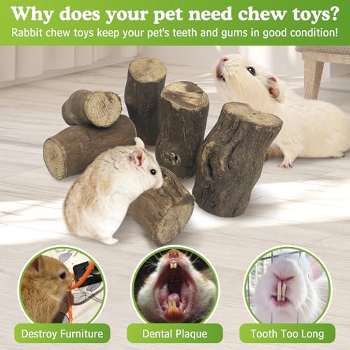 PINVNBY 12 PCS Rabbit Chew Toys Natural Grape Wood Bunny Chew Sticks for Teeth Grinding Guinea Pig Molar Treats Snack for Chinchilla Hamster Gerbil and Other Small Animals