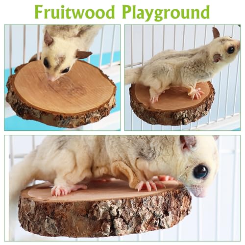 BNOSDM 6 Packs Wood Sugar Glider Toys Wooden Sugar Glider Perch Stand Climbing Hanging Cage Accessories and Sugar Glider Toy Natural Fruitwood Perch Stand Hanging Wooden Grinding Small Animal