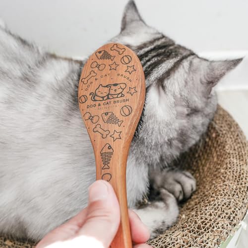 Soft Cat and Dog Grooming Brush for Small & Large Pets | Soft Boar Bristles, Wood Handle, Small Size, Gentle Grooming for Long & Short Hair
