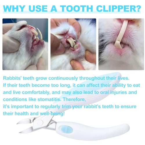 Rabbit Teeth Cutter,Premium Stainless Steel Bunny Tooth Nipper Teeth,5.3inch Tooth Cutter Scissor Sharp and Fast, Safe for Rabbits,for Guinea Pig Chinchilla Bunny Other Small Animals.(Blue)