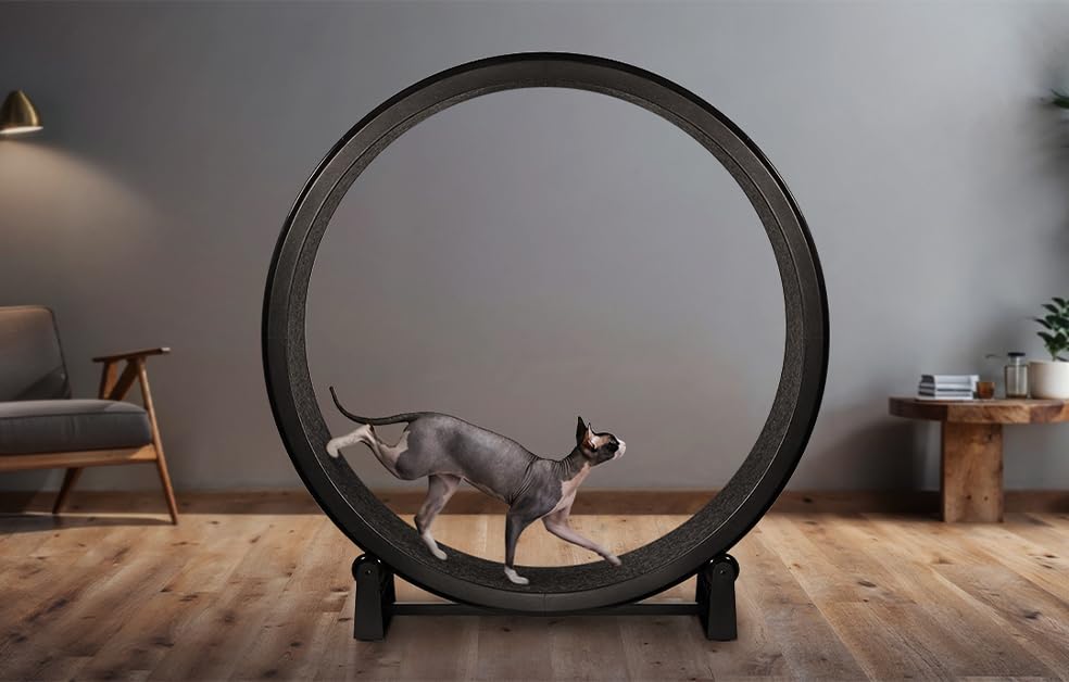 One Fast Cat - Cat Exercise Wheel - Gen. 7 - Safe 48" Diameter - Made in The USA - Black Wheel with Black Felt Traction Pads and Solid Inline Wheels - color: Black Wheel / Black Felt / Black Inline