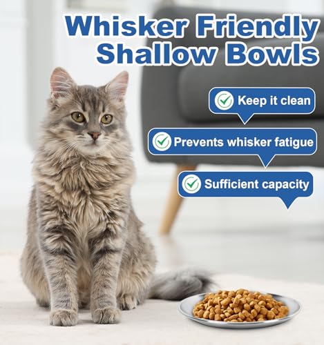 Supet Cat Plates Whisker Friendly, Non Slip Dish for Wet Food, Shallow Wide Flat Bowls Stainless Steel Metal for Indoor Cats, Kitten, Small Dog (13Oz, 4Pcs) - size: 4Pcs