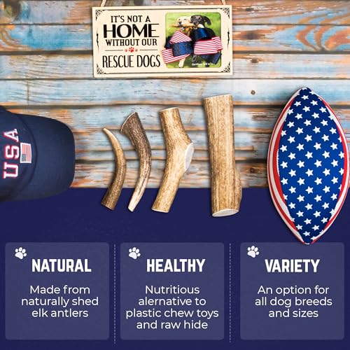 Devil Dog Pet Co Whole Elk Antlers for Dogs, Small, Aggressive Chewers | Naturally shed Grade A Rocky Mountain elk antler, single ingredient, long lasting, 4 in+, fits breeds up to 25 lb - style: WHOLE - Small - 1 Pack