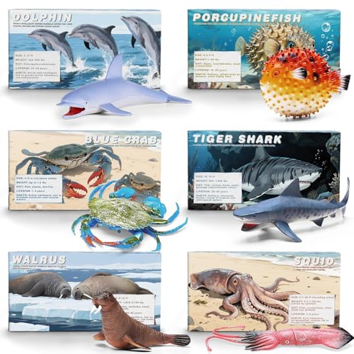 MOEAWS 20 Pcs Ocean Animal Toys withBooklet, Mini Sea Creature Figures | Plastic Sea Animal for Kids Age 3+, Birthday Gift, Ocean Theme Party Favor, Water Bath Toy for Toddler
