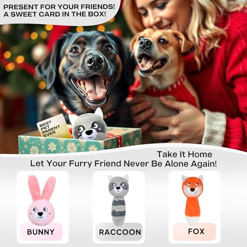 Fida Squeaky Dog Toys for Aggressive Chewers, 3 in 1, Tough Dog Ball | Dog Chew Toys with 3 Layers, to Keep Them Busy, Interactive for Small, Medium and Large Dogs, Gift Box, Raccoon - color: Grey Raccoon