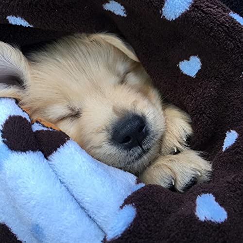 Snuggle Puppy Blanket for Pets - Cozy Dog Blanket for Small Dogs - Machine Washable Dog Blanket in Blue - color: Blue