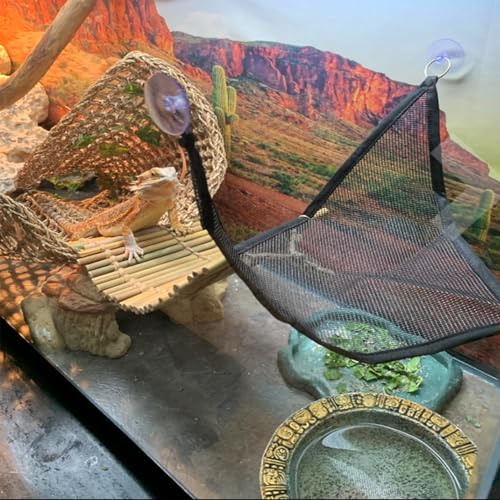 kathson Reptile Bridge for Terrarium,Bearded Dragon Wooden Bridges Gecko Hammock with Hanging Plants Lizard Lounger Bamboo Ladder Reptiles Tank Accessories Climbing for Chameleons Geckos Snakes (3Pcs) - size: Medium