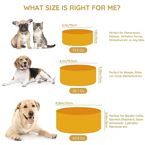 SPUNKYJUNKY 13.5OZ Ceramic Dog and Cat Bowl, Modern Cute Weighted Food Water Bowl for Replacement Yellow (1 Pack) - color: Yellow, size: 1.7 CUPS