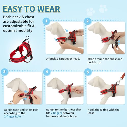 SlowTon No Pull Small Dog Harness and Leash Set with Front Clip | Soft Padded, Neck & Chest Adjustable, Lightweight, Anti-Twist, Puppy Vest Harness Pet Lead Combo for Small Medium Dog, R S - color: Red, size: X-Small