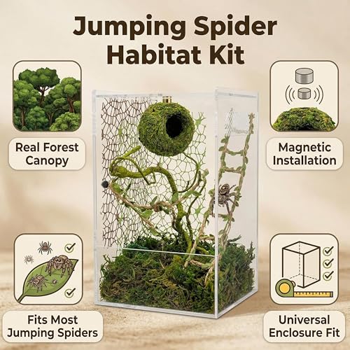 Jumping Spider Enclosure Accessories Kit, Magnetic Moss Ball Hideout, 2 Mesh Nets & Leafy Rope Ladder, 3D Forest Canopy Habitat with 5 Magnets for Jumping Spiders Fun Enclosure Accessories