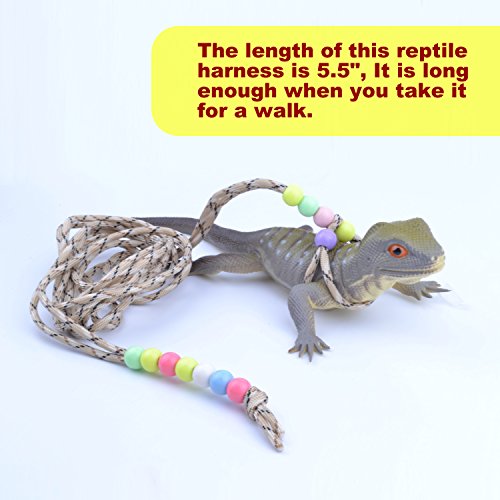 Adjustable Reptile Training Lead Harness Leash Nylon Rope for Lizard Crested Gecko Chameleon Guinea Pig Ferrets Hamster Rats (Brown) - color: Brown