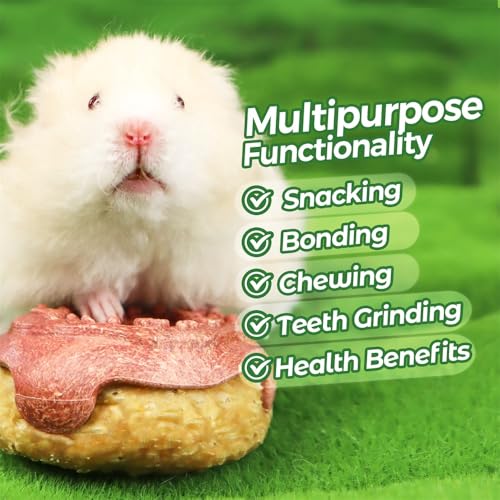 TEEWY Donut Guinea Pig Toys, Natural Vegetables, Fruits and Timothy, Hamster Chew Toys for Teeth, Gerbil Toys, Small Animal Chew Toys for Guinea Pig, Hamster, Chinchilla and Rat, 2PCS - style: 2PCS-Donut
