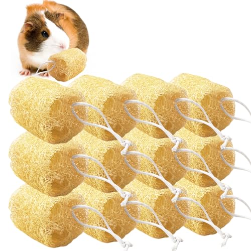 12 Pcs Rabbit Chew Toys Natural Bunny Loofah Chew Toy Chinchilla Teeth Grinding Toys Guinea Pig Fibre-Rich Treats Enrichment Bunny Accessories for Rabbits Hamster (M) - color: M- (12 PCS)