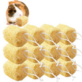 12 Pcs Rabbit Chew Toys Natural Bunny Loofah Chew Toy Chinchilla Teeth Grinding Toys Guinea Pig Fibre-Rich Treats Enrichment Bunny Accessories for Rabbits Hamster (M) - color: M- (12 PCS)