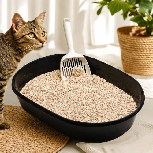 I AM TOFU - Tofu Cat Litter, Low Dust Lightweight Clumping Litter with Odor Control (10 LBS, Original) - color: Original