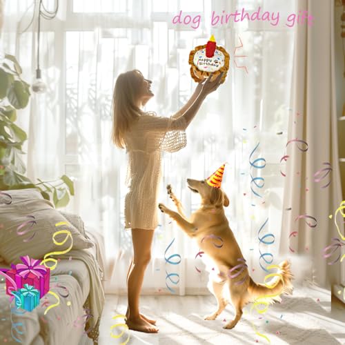 Dog Birthday Toys Set 3 Pack Cake Sandwich Pizza Plush Squeaky | Happy Barkday Gift for Small Medium Large Dogs Cuddle Interactive Chew Soft Stuffed Puppy Christmas gift with Crinkle - style: Cake Shape