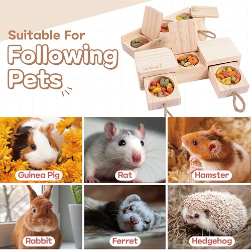 SoulThink® Interactive Wooden Pet Rabbit Toys - Sniff n' Snack Bunny Chew Toys for Rabbit Treats, Suited as Guinea Pig, Hamster for Boredom, Bunny Toys for Rabbits Keep Busy (2 Sets) - style: Sniff n' Snack - Beginner
