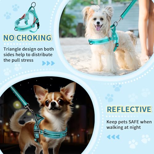 SlowTon No Pull Small Dog Harness and Leash Set with Front Clip | Soft Padded, Neck & Chest Adjustable, Lightweight, Anti-Twist, Puppy Vest Harness Pet Lead Combo for Small Medium Dog, TL XXS - color: Teal, size: XX-Small