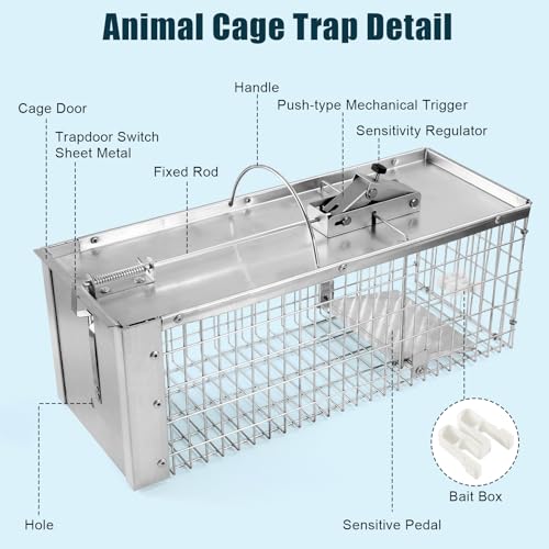Live Animal Cage Trap, Heavy Duty Humane Cage Trap for Squirrels, Chipmunks, Rabbits, and Small Rodents, Safely Catch & Release - 1 Trap