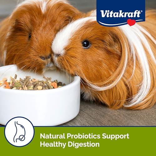 Vitakraft Menu Premium Guinea Pig Food - Alfalfa Pellets Blend - Vitamin and Mineral Fortified - size: 5 Pound (Pack of 1)