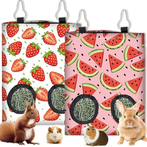 2Pcs 2 Styles Strawberry Hay Feeder Bag for Guinea Pigs Chinchillas 11.6 x 9.1 Inch Small Pet Hay Bag with 2 Holes Strawberry Watermelon Cloth Washable Pet Feeding Storage Cage Accessories - color: Strawberry