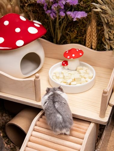 Niteangel Hamster Snack Treat Toy: Freeze-Dried Pumpkin & No Additive | Delivers Essential Vitamins & Minerals- Small Animal Natural Treat for Dwarf Syrian Hamsters Gerbils Mice Degus or Small Pets